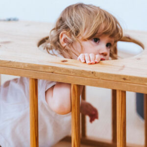 Organiza y gestiona escuelas infantiles. Claves para el éxito educativo